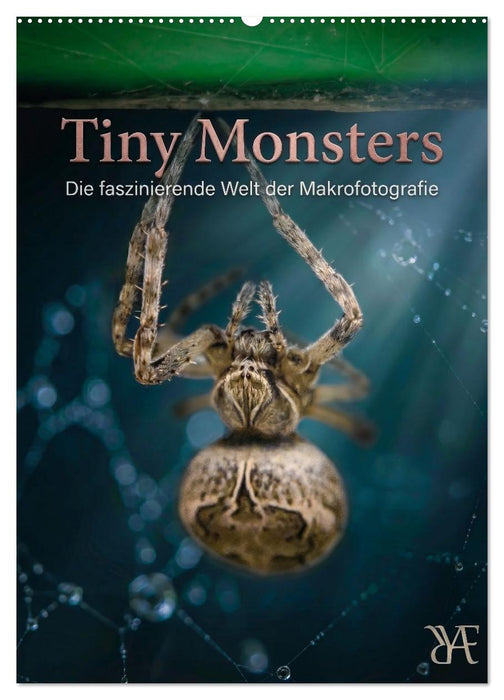 Tiny Monsters - Die faszinierende Welt der Makrofotografie (CALVENDO Wandkalender 2027)
