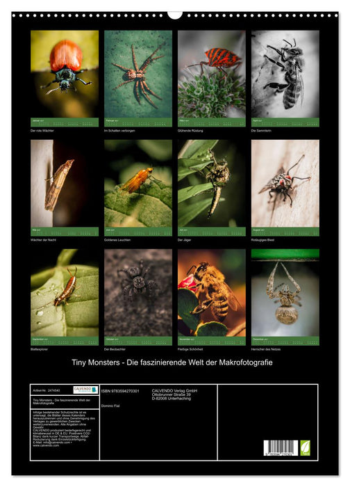 Tiny Monsters - Die faszinierende Welt der Makrofotografie (CALVENDO Wandkalender 2027)