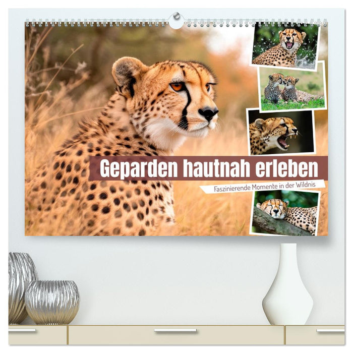 Geparden hautnah erleben (CALVENDO Premium Wandkalender 2027)