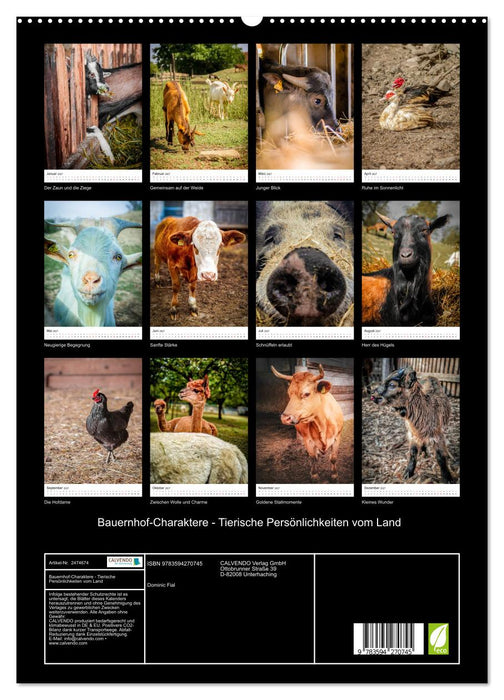 Bauernhof-Charaktere - Tierische Persönlichkeiten vom Land (CALVENDO Premium Wandkalender 2027)