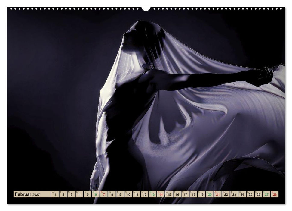 Erotisches Meisterwerk aus feinem Linienwerk und Silhouetten (CALVENDO Wandkalender 2027)