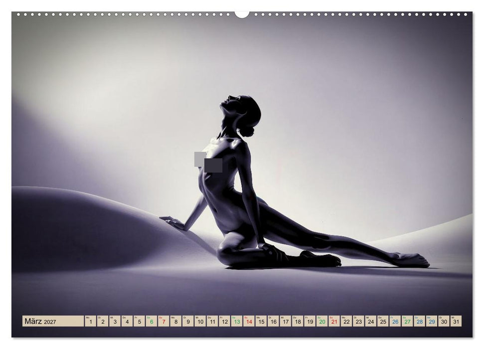 Erotisches Meisterwerk aus feinem Linienwerk und Silhouetten (CALVENDO Wandkalender 2027)