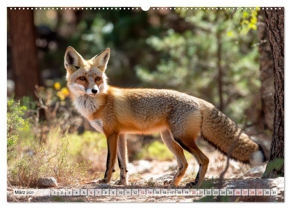 Heimische Wildtiere - Das Vermächtnis der Natur (CALVENDO Wandkalender 2027)