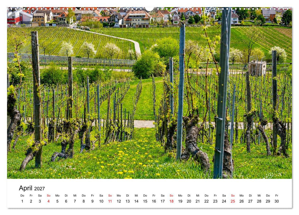 Weinstadt Oppenheim am Rhein (CALVENDO Wandkalender 2027)
