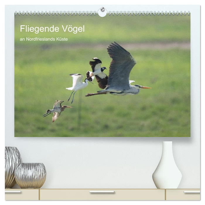 Fliegende Vögel an Nordfrieslands Küste (CALVENDO Premium Wandkalender 2027)