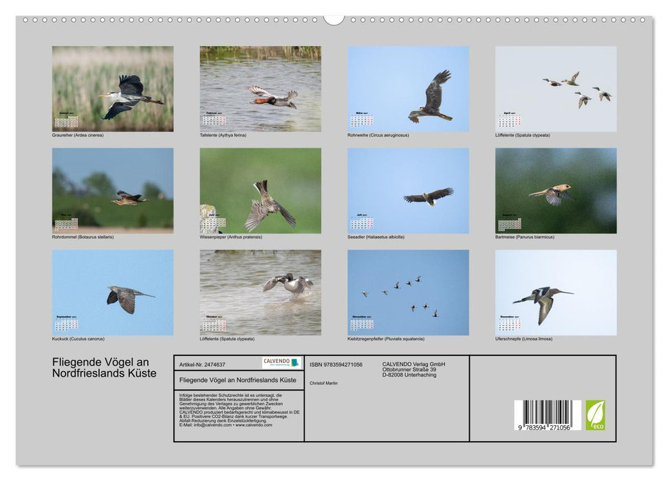 Fliegende Vögel an Nordfrieslands Küste (CALVENDO Premium Wandkalender 2027)