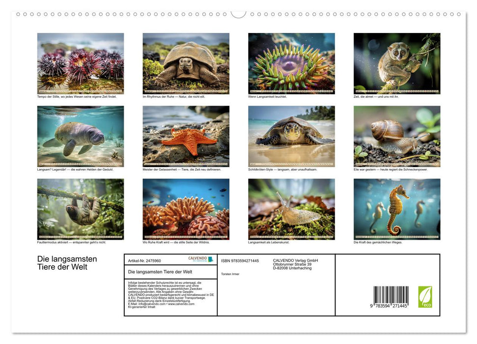 Die langsamsten Tiere der Welt (CALVENDO Premium Wandkalender 2027)