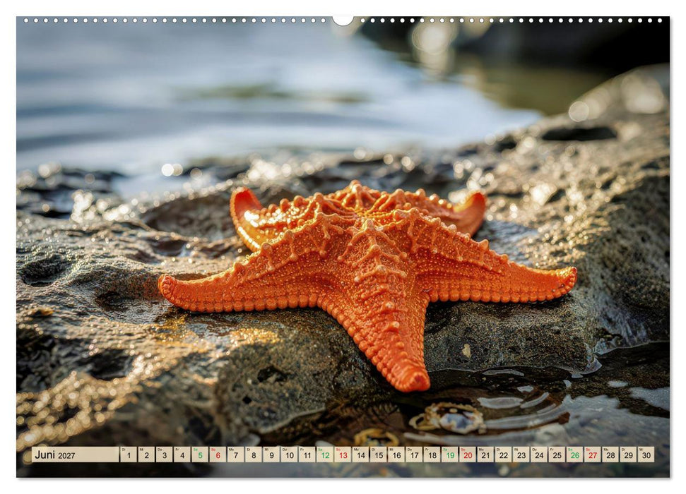 Die langsamsten Tiere der Welt (CALVENDO Premium Wandkalender 2027)