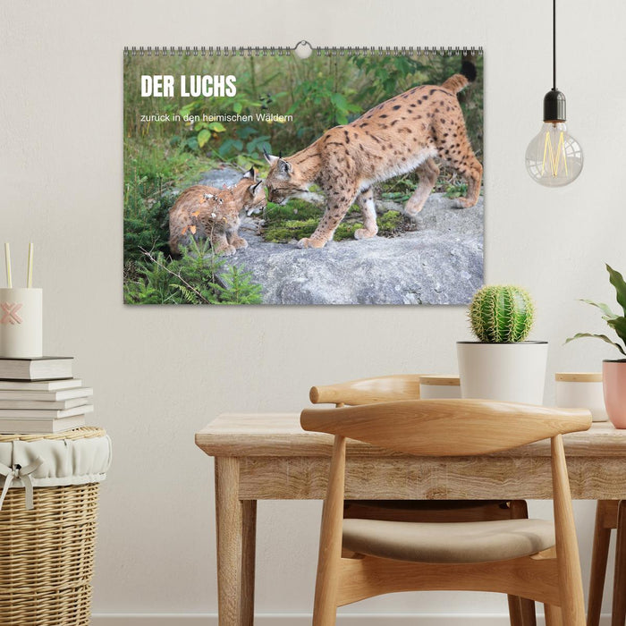 Der Luchs, zurück in den heimischen Wäldern (CALVENDO Wandkalender 2027)