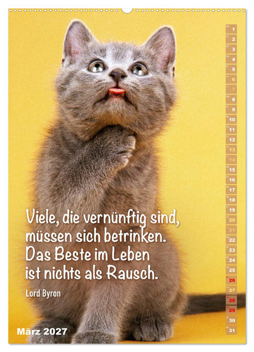 Der ziemlich tolle und überraschende literarische Katerkalender (CALVENDO Premium Wandkalender 2027)