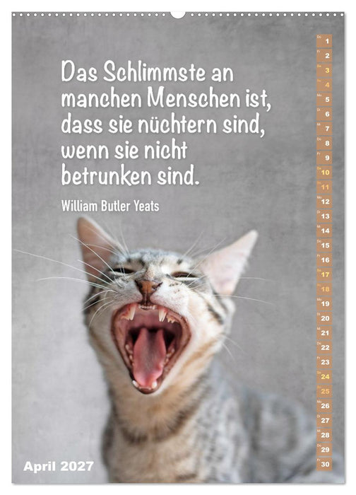 Der ziemlich tolle und überraschende literarische Katerkalender (CALVENDO Premium Wandkalender 2027)