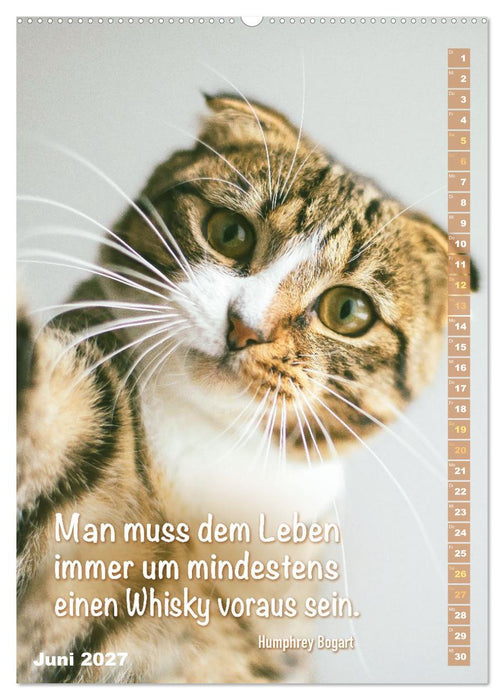 Der ziemlich tolle und überraschende literarische Katerkalender (CALVENDO Premium Wandkalender 2027)