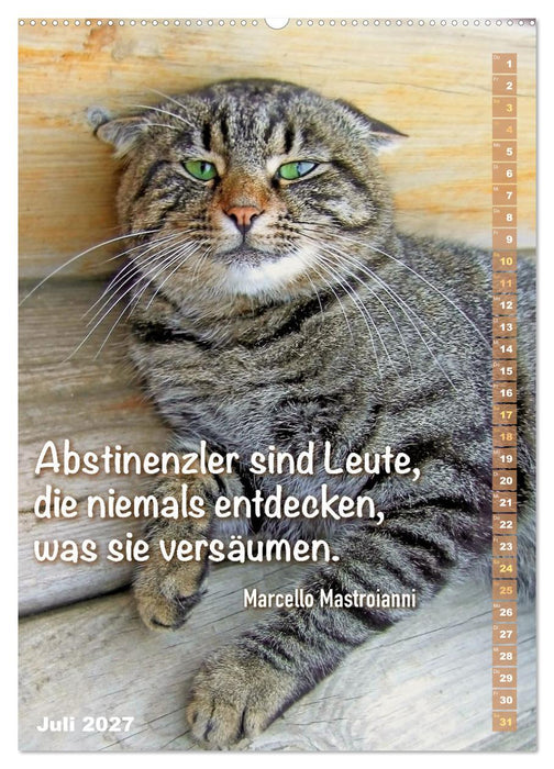 Der ziemlich tolle und überraschende literarische Katerkalender (CALVENDO Premium Wandkalender 2027)