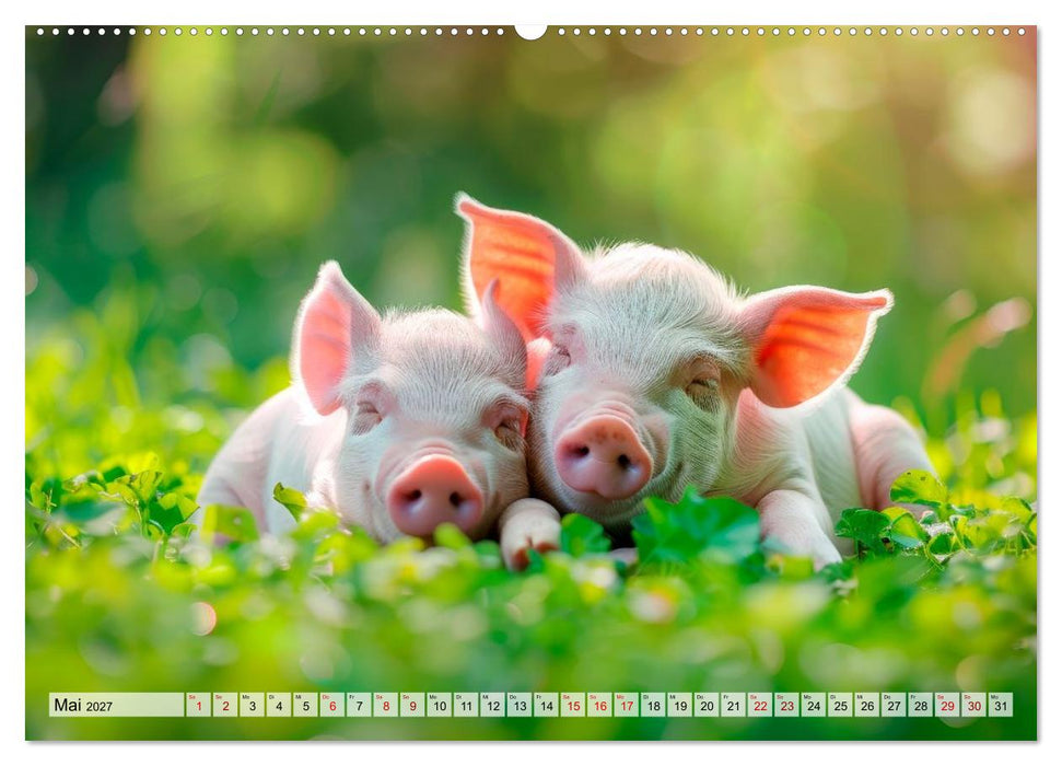 Süße Ferkel - Tierische Glücksmomente (CALVENDO Wandkalender 2027)