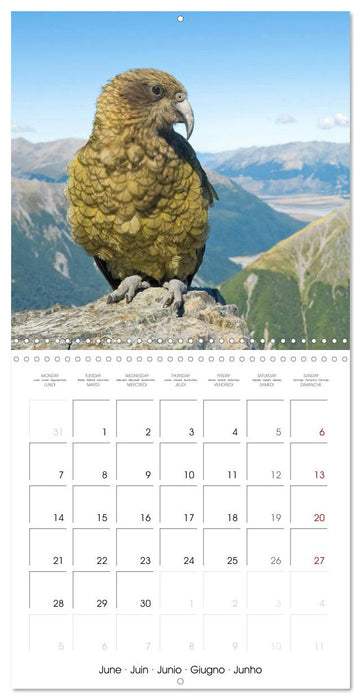 Colourful Parrots (CALVENDO Monthly Calendar 2027)