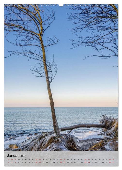 Ostseeküste Schwedeneck (CALVENDO Premium Wandkalender 2027)