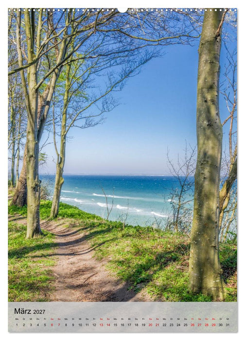 Ostseeküste Schwedeneck (CALVENDO Premium Wandkalender 2027)