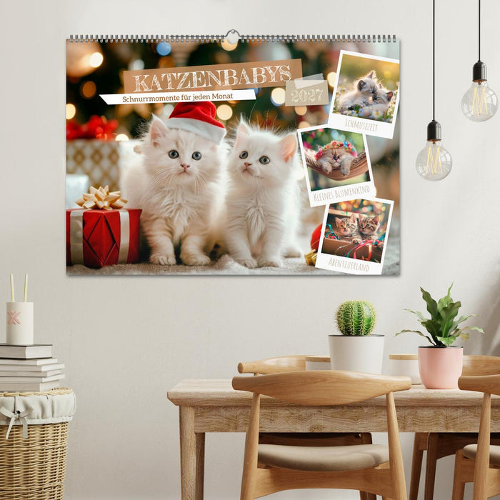 Katzenbabys - Schnurrmomente für jeden Monat (CALVENDO Wandkalender 2027)