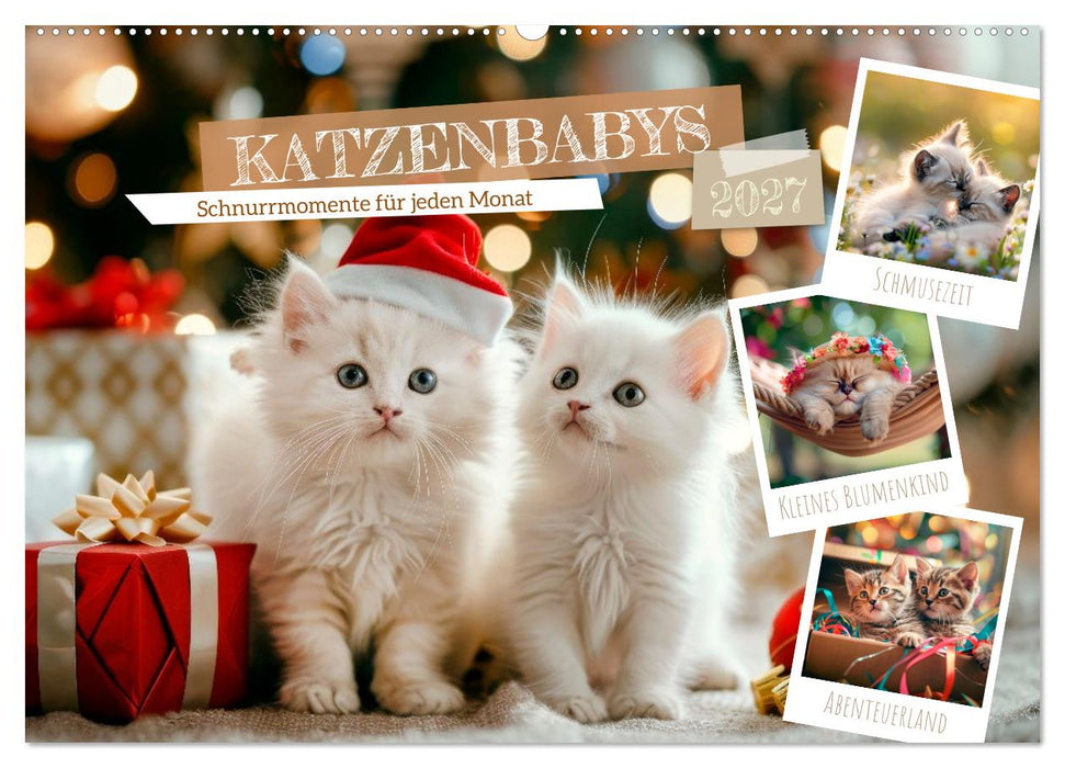Katzenbabys - Schnurrmomente für jeden Monat (CALVENDO Wandkalender 2027)