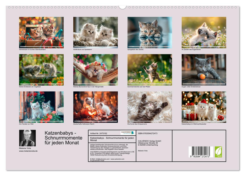 Katzenbabys - Schnurrmomente für jeden Monat (CALVENDO Wandkalender 2027)