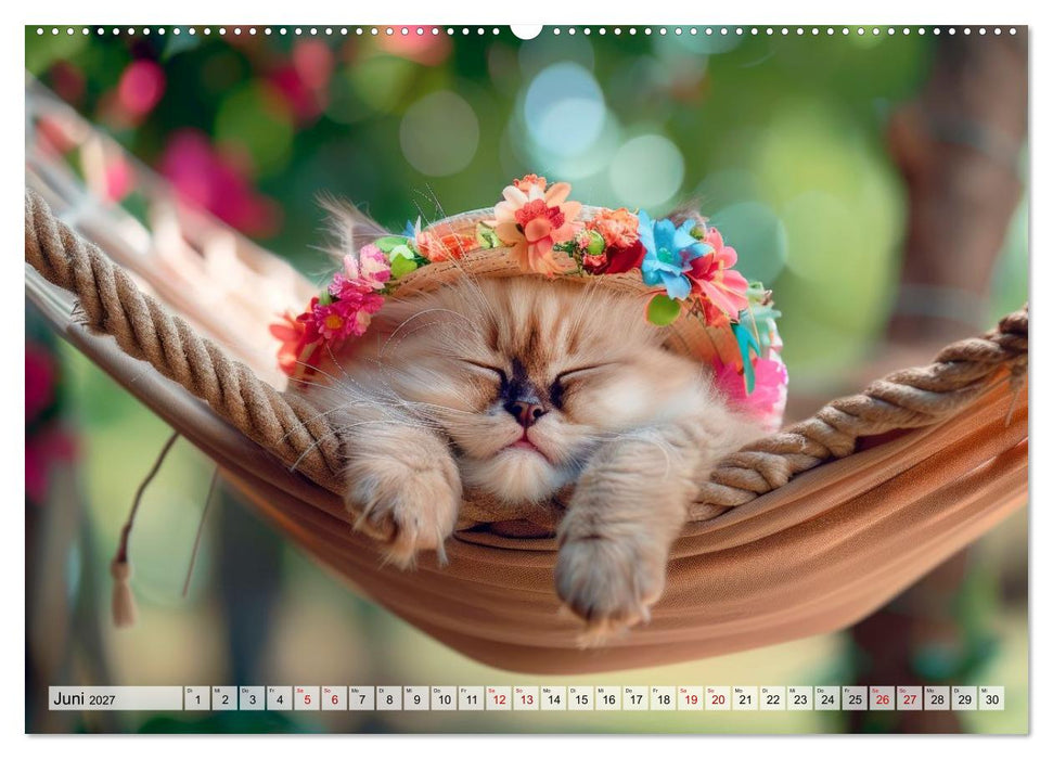 Katzenbabys - Schnurrmomente für jeden Monat (CALVENDO Wandkalender 2027)