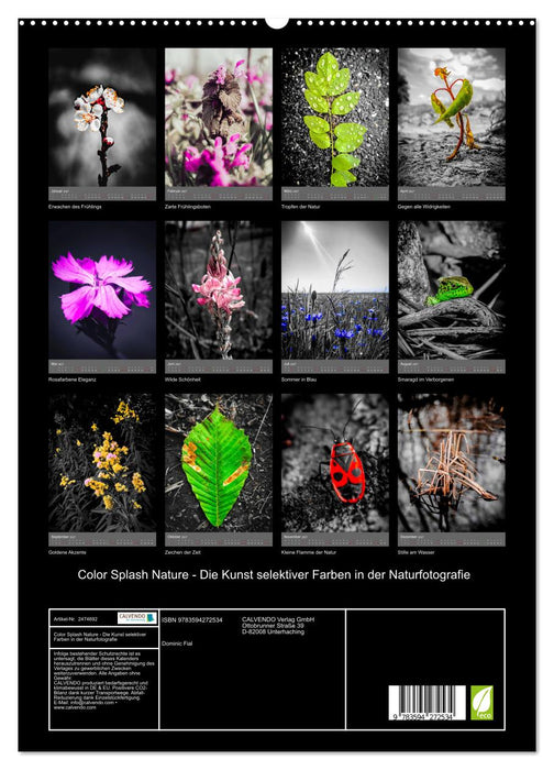 Color Splash Nature - Die Kunst selektiver Farben in der Naturfotografie (CALVENDO Premium Wandkalender 2027)