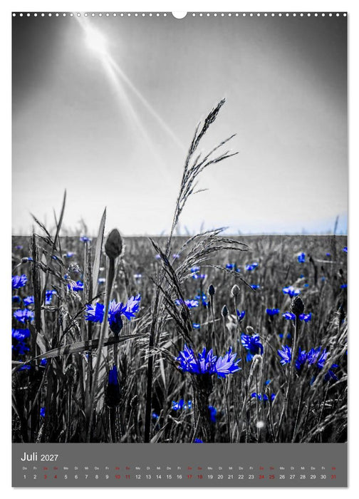 Color Splash Nature - Die Kunst selektiver Farben in der Naturfotografie (CALVENDO Premium Wandkalender 2027)