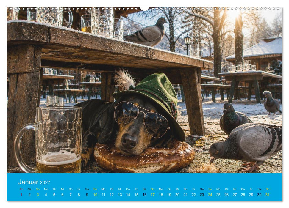 Dackel, Bier und Brezen (CALVENDO Premium Wandkalender 2027)