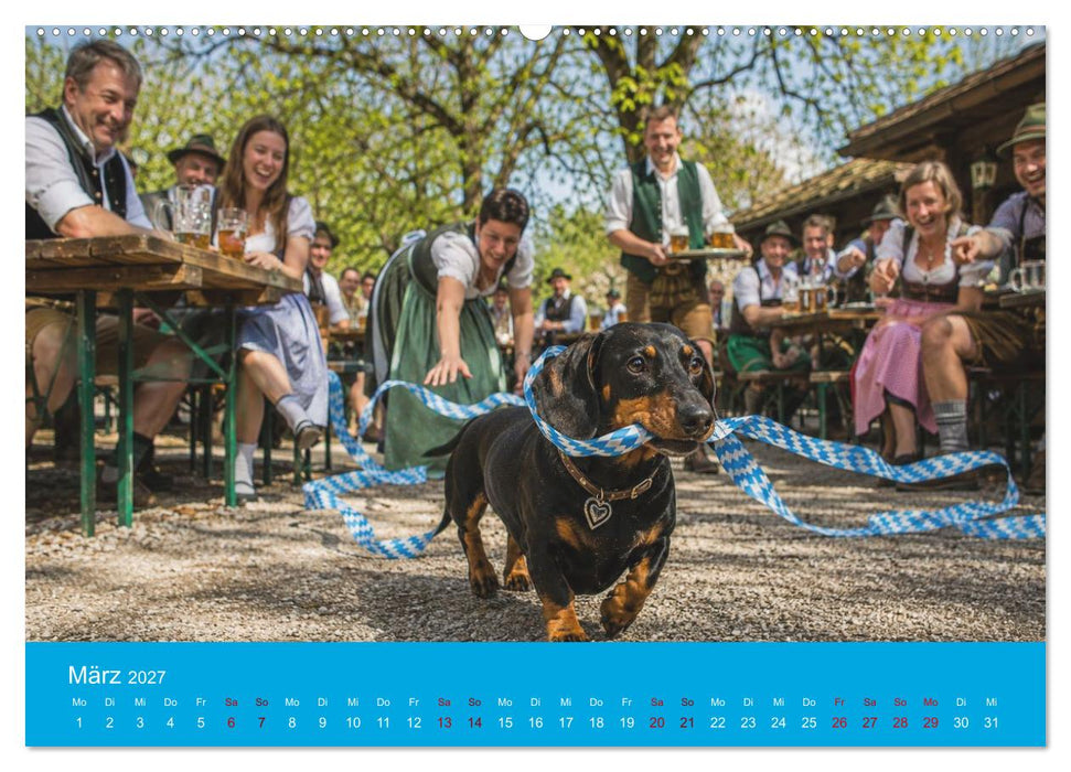 Dackel, Bier und Brezen (CALVENDO Premium Wandkalender 2027)