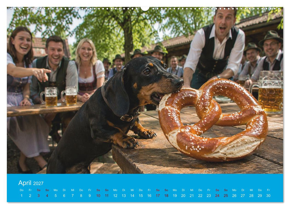 Dackel, Bier und Brezen (CALVENDO Premium Wandkalender 2027)