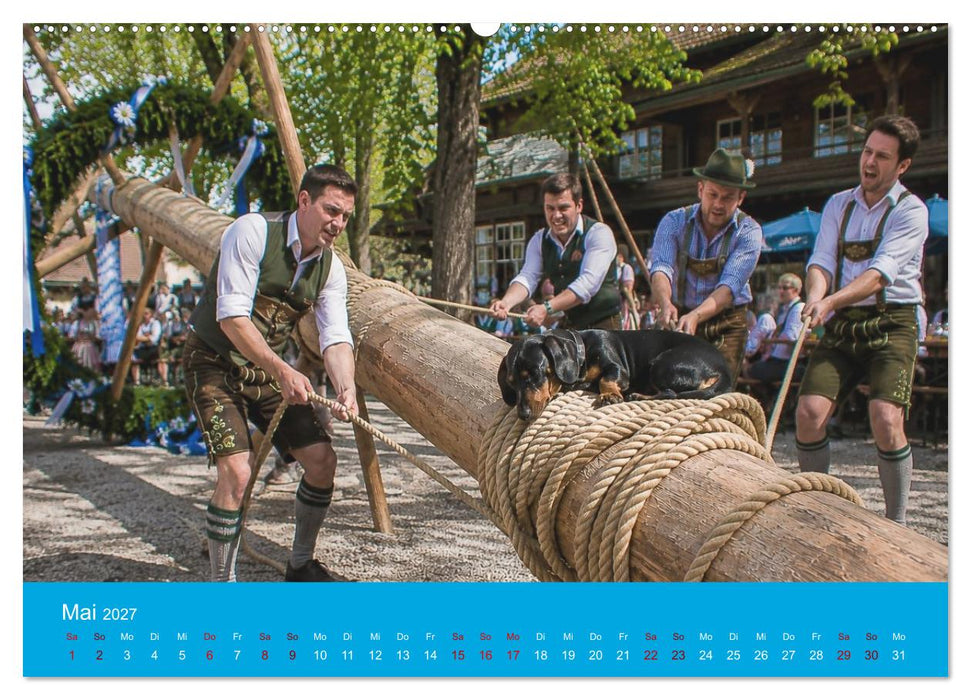 Dackel, Bier und Brezen (CALVENDO Premium Wandkalender 2027)