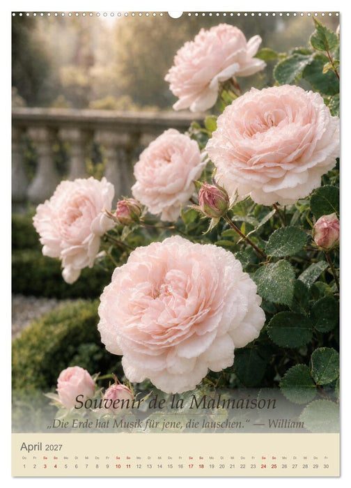 Rosen des englischen Herrenhauses (CALVENDO Premium Wandkalender 2027)
