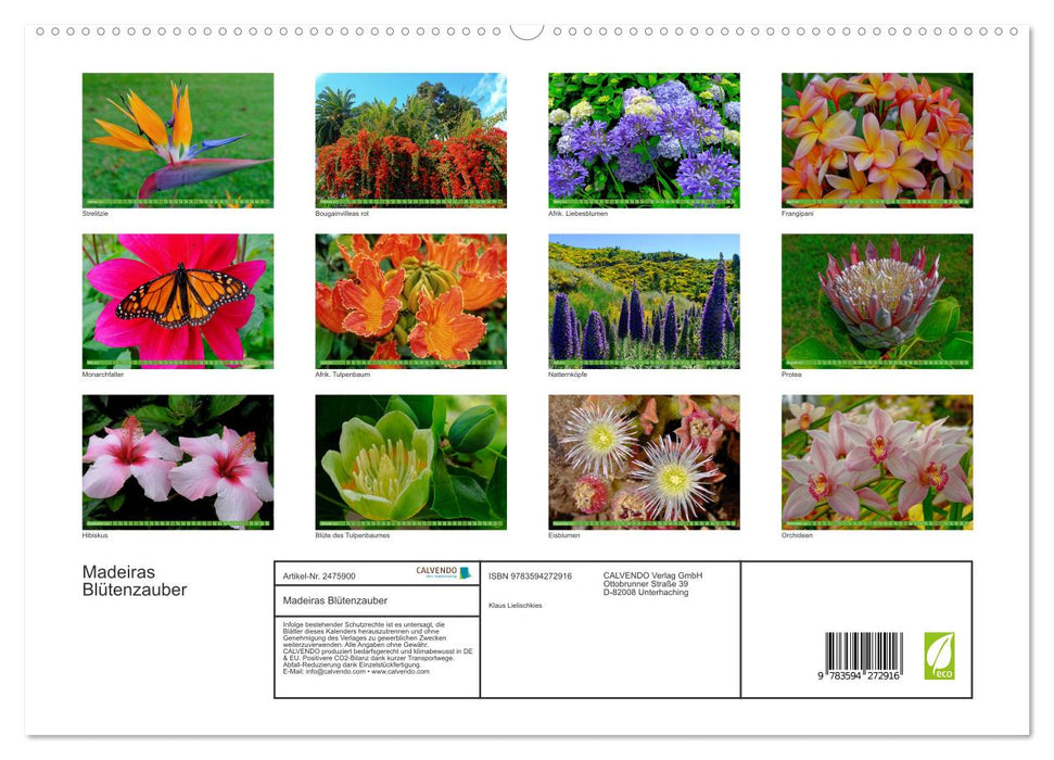 Madeiras Blütenzauber (CALVENDO Premium Wandkalender 2027)