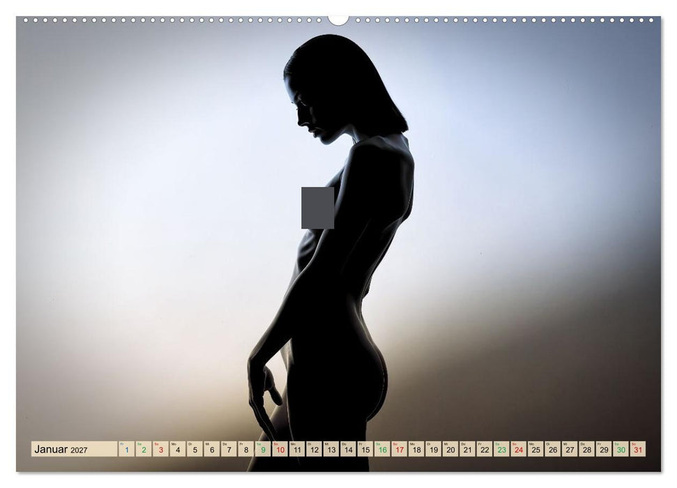 Erotisches Meisterwerk aus feinem Linienwerk und Silhouetten (CALVENDO Premium Wandkalender 2027)