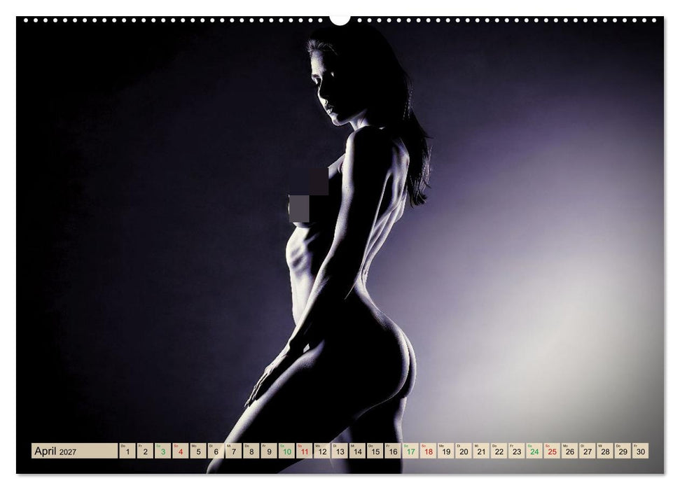 Erotisches Meisterwerk aus feinem Linienwerk und Silhouetten (CALVENDO Premium Wandkalender 2027)