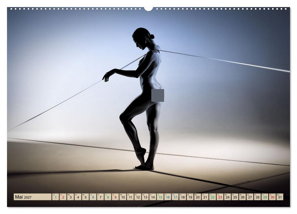Erotisches Meisterwerk aus feinem Linienwerk und Silhouetten (CALVENDO Premium Wandkalender 2027)