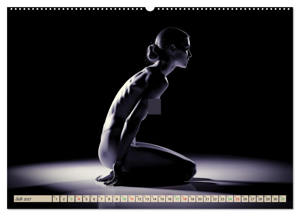 Erotisches Meisterwerk aus feinem Linienwerk und Silhouetten (CALVENDO Premium Wandkalender 2027)
