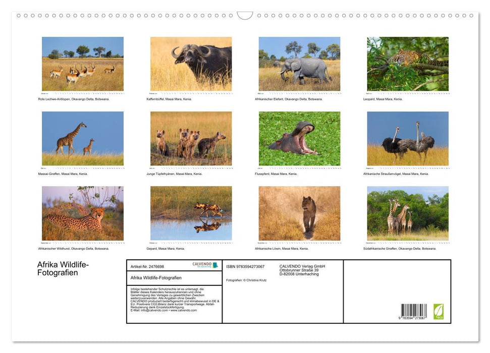 Afrika Wildlife-Fotografien (CALVENDO Wandkalender 2027)