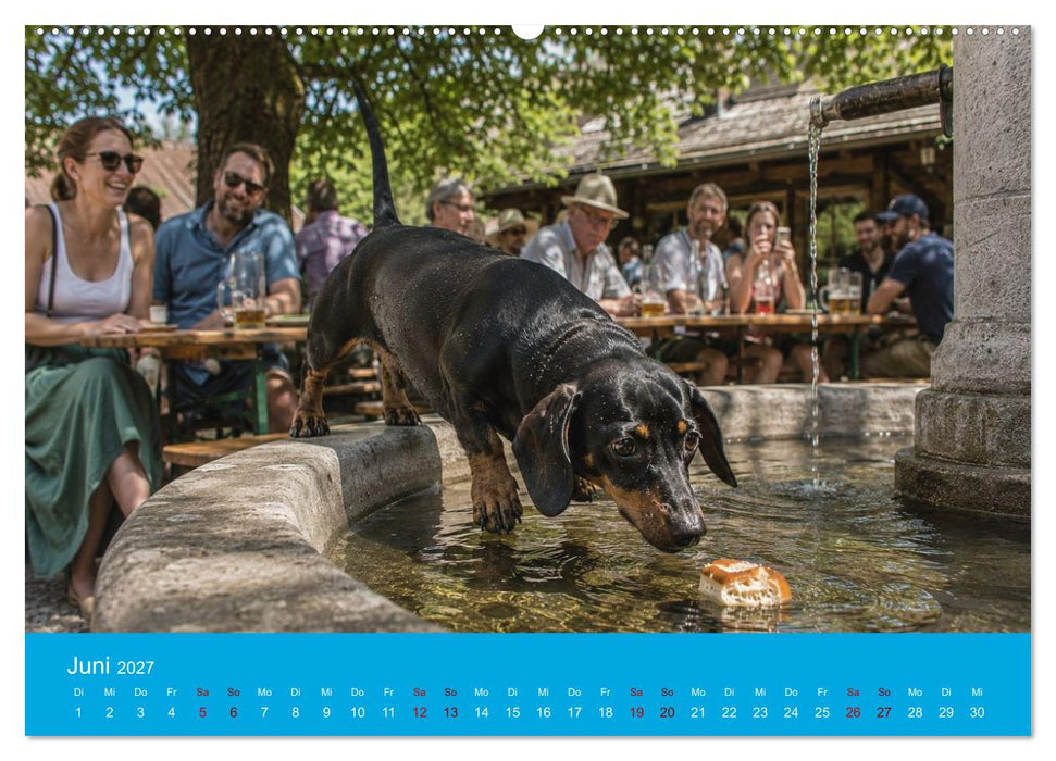 Dackel, Bier und Brezen (CALVENDO Wandkalender 2027)