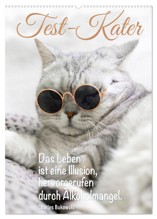 Der ziemlich tolle und überraschende literarische Katerkalender (CALVENDO Wandkalender 2027)