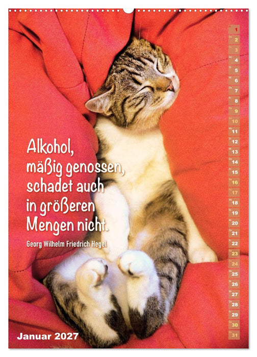 Der ziemlich tolle und überraschende literarische Katerkalender (CALVENDO Wandkalender 2027)