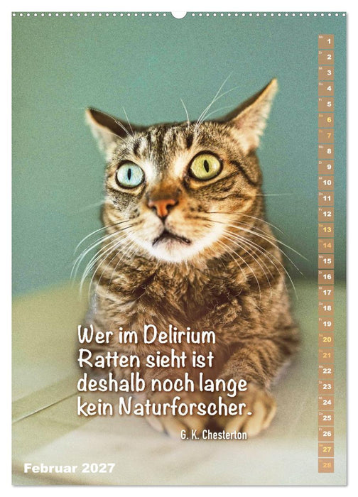 Der ziemlich tolle und überraschende literarische Katerkalender (CALVENDO Wandkalender 2027)