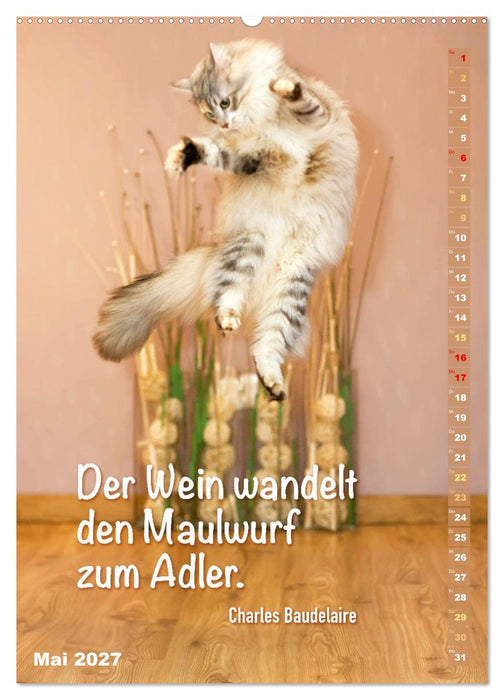 Der ziemlich tolle und überraschende literarische Katerkalender (CALVENDO Wandkalender 2027)