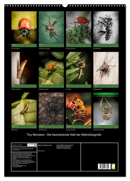 Tiny Monsters - Die faszinierende Welt der Makrofotografie (CALVENDO Wandkalender 2027)
