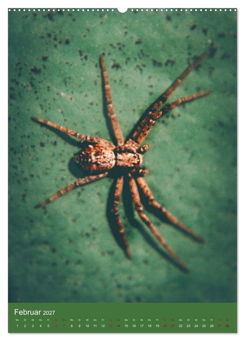 Tiny Monsters - Die faszinierende Welt der Makrofotografie (CALVENDO Wandkalender 2027)