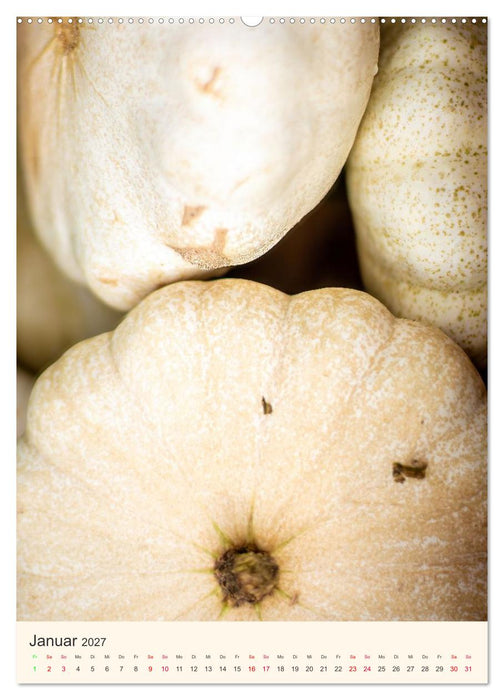 PUMPKIN TIME – Farben und Formen des Herbstes (CALVENDO Wandkalender 2027)