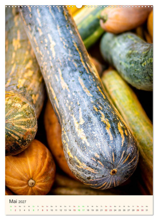 PUMPKIN TIME – Farben und Formen des Herbstes (CALVENDO Wandkalender 2027)