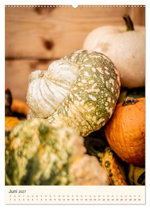 PUMPKIN TIME – Farben und Formen des Herbstes (CALVENDO Wandkalender 2027)