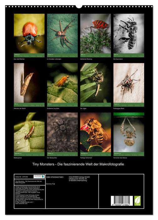 Tiny Monsters - Die faszinierende Welt der Makrofotografie (CALVENDO Premium Wandkalender 2027)