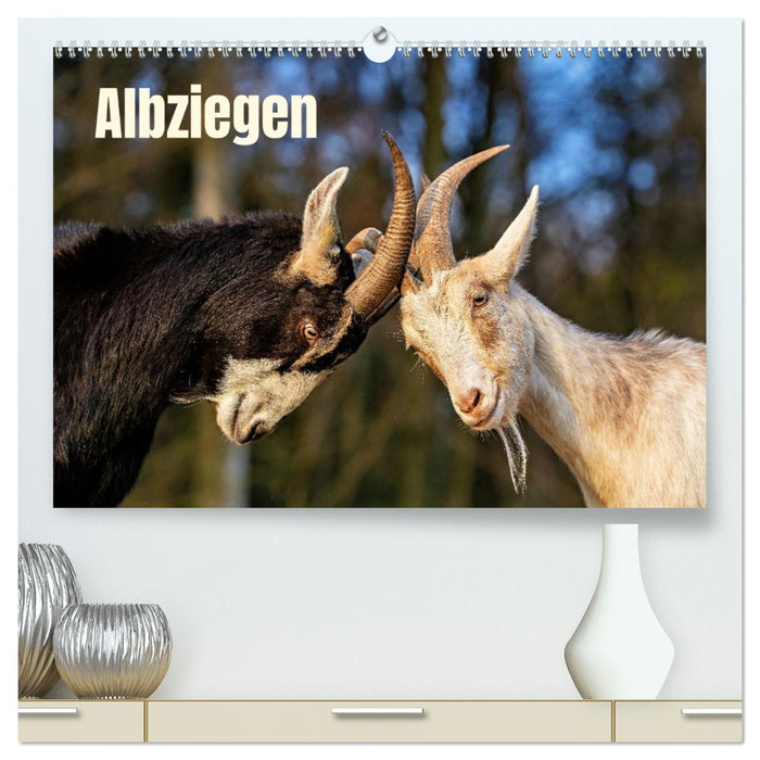 Albziegen (CALVENDO Premium Wandkalender 2027)